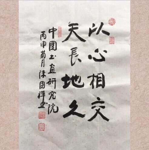 陈国祥《梅兰体》书法