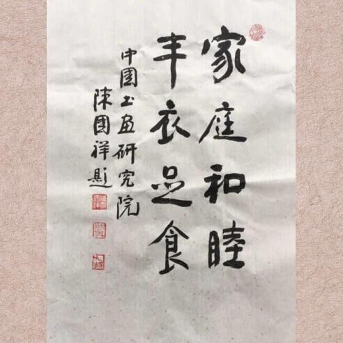 陈国祥《梅兰体》书法