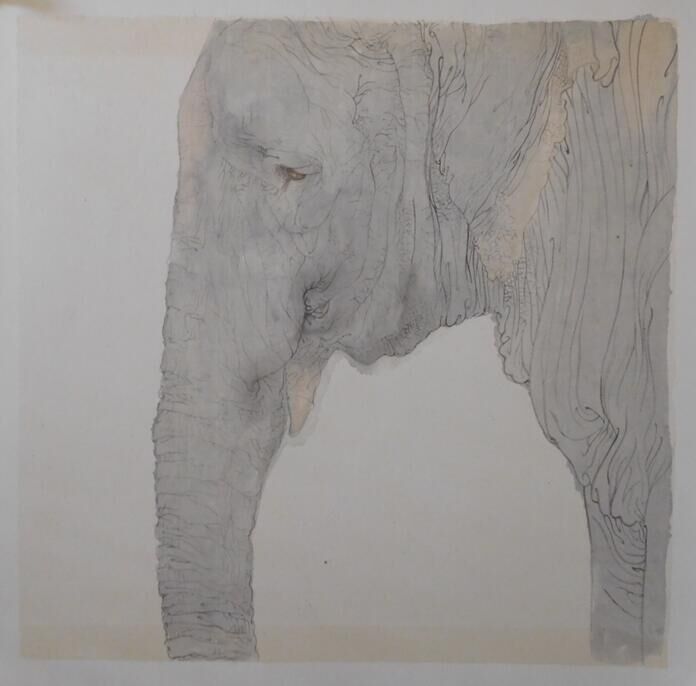 石巍水墨《象》