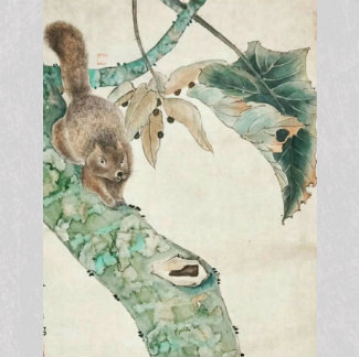 石鸿《松鼠》